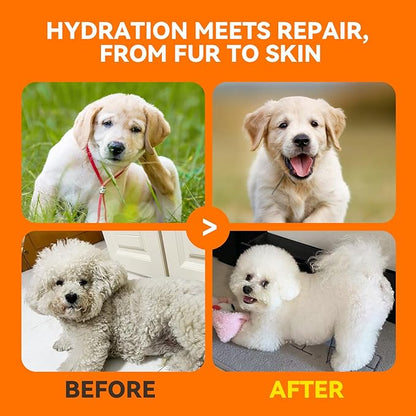 Dog & Cat Shampoo for Itchy Skin Relief, Hypoallergenic, Unscented, 16oz