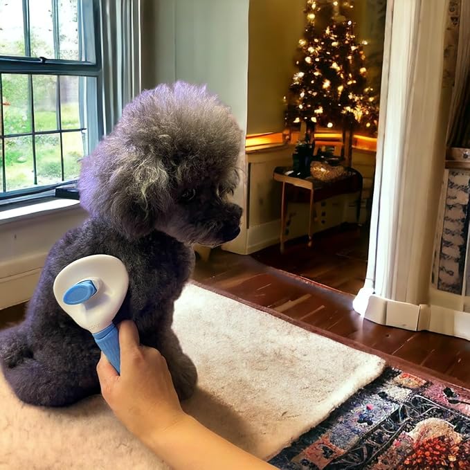 G'day Self Cleaning Slicker Brush, Dog Brush & Cat Brush with Massage Particles, Removes Loose hair & Tangles, Skin Friendly.