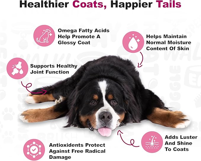 Doggie Dailies Skin & Coat Supplement Support, Salmon Oil for Dogs Skin and Coat with Collagen, Omega 3, Krill Oil, Biotin, & Coconut Oil for Dogs (Duck) 225 Soft Chews