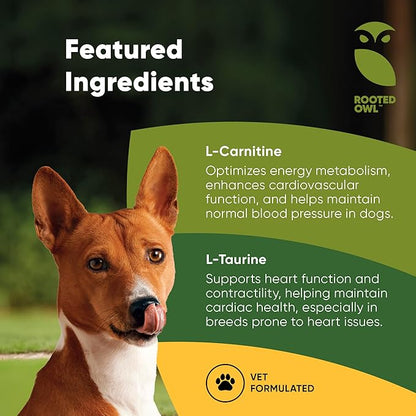 Rooted Owl Cardio Support - L-Taurine and L-Carnitine Supplement for Dogs - Cardiovascular and Heart Health Supplements for Dogs - 60/ct