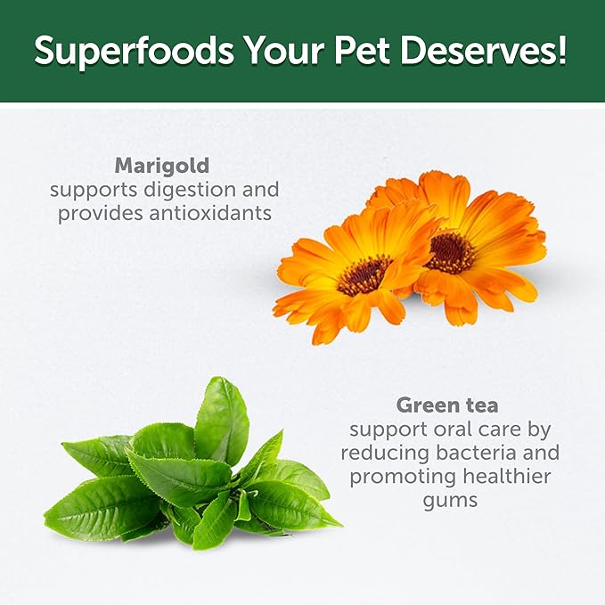 Nature's Protection Dental Chews for Dogs - Grain Free Dental Sticks - Natural Dog Breath Freshener Treats for Small & Large Breed Adult Dogs (Superior Care - Insects, 5.29 oz)