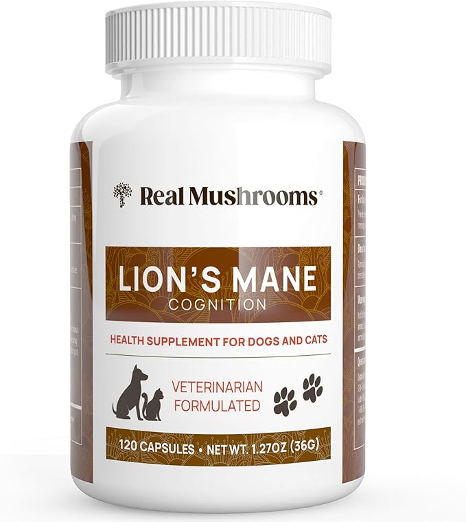 Real Mushrooms Lion_ Mane Pet Mushroom Supplement  Pet Wellbeing Capsules  for Cat & Dog Supplement & Vitamins  Support Mindful Routines  Organic, Vegan, Non-GMO, 120 Count