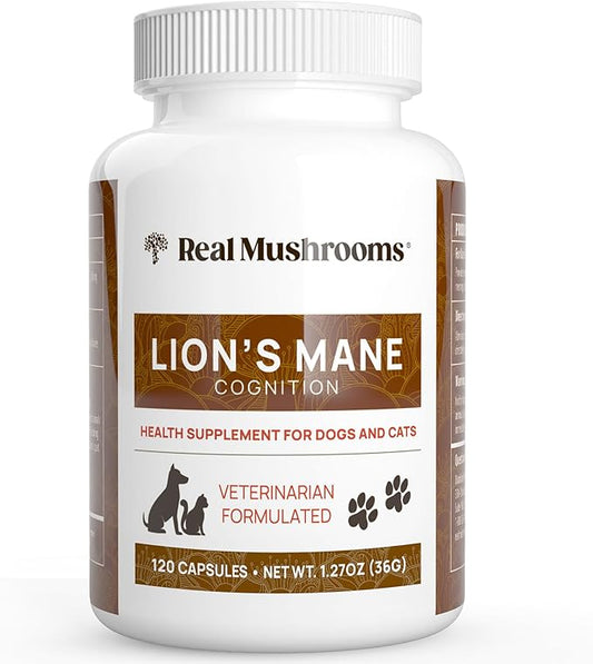 Real Mushrooms Lion_ Mane Pet Mushroom Supplement  Pet Wellbeing Capsules  for Cat & Dog Supplement & Vitamins  Support Mindful Routines  Organic, Vegan, Non-GMO, 120 Count