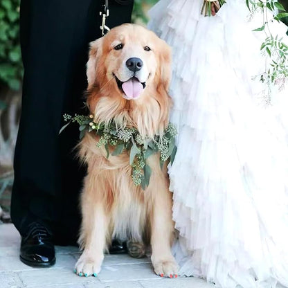 Quick Dry Dog Nail Polish Pens 12 Colors,Pet Safe and Non-Toxic Nail Polish Easy Application for Dogs, Cats, and Small Pets Nail Accessories