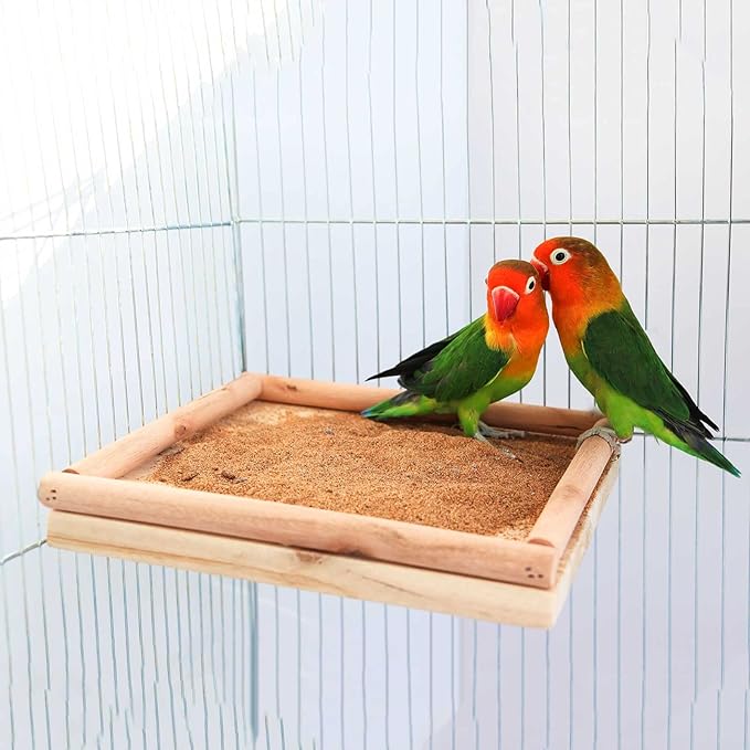 Dnoifne Natural Wooden Parrot Bird Perch Stand, Natural Wooden Bird Cage Stand Pole Accessories, Paw Grinding Standing Climbing Perch for Parrot, Parakeet, Budgies, Lovebirds