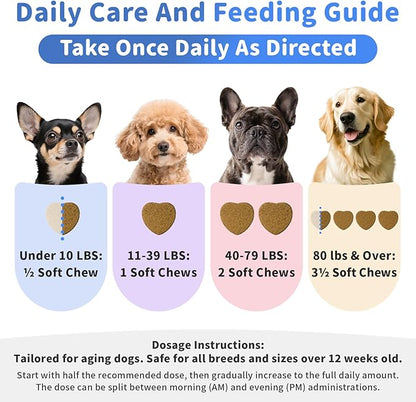 Senior Dog Joint Supplement, 17-in-1 Glucosamine for Dogs with Chondroitin, MSM, Pea, CoQ10, Omega-3, Hip and Joint Chews for Dogs – Beef Flavor – 90 Soft Chews – for All Breeds & Sizes