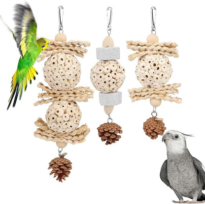 Wontee Bird Toys 3 Pack Parrot Foraging Hanging Toys Sola Ball Natural Nuts Chew Toys for Cockatiels Conures Parakeets Budgies Senegal (3 Pack)