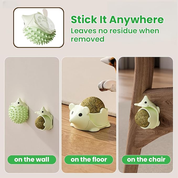 6 Pcs Catnip Ball Toys with Rubbing Shell, Lickable Roller Catnip Toys for Cats Chew, Edible and Refillable Kitten Toys, Teeth Cleaning Dental Indoor Cat Treats Toys, 3 Shells 6 Balls