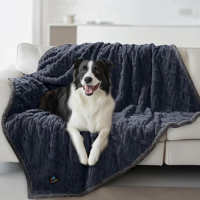 Waterproof Pet Blanket, Liquid Pee Proof Dog Blankets for Sofa Bed Couch, Reversible Sherpa Fleece Furniture Protector Cover for Small Medium Large Dogs Cats,Dark Grey Largeï¼65" x 57"ï¼