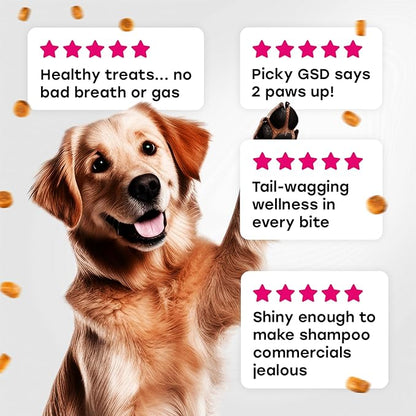 24-in-1 Complete Daily Dog Multivitamin Chews  Beef Flavor  All-in-One Support for Joints, Skin, Coat, Digestion & Immunity with Glucosamine & Omega-3 (140 Chews)