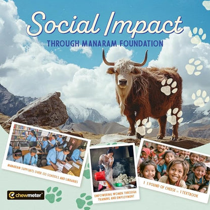 Chewmeter Himalayan Yaky Cheese Chew, 100% Natural, Long Lasting, Gluten Free, Healthy & Safe Dog Treats, Lactose & Grain Free, Protein Rich, Stain Free, Medium, Dogs 35 Lbs & Under, 2.5 lb Bulk Tub