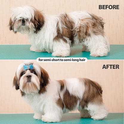 MoeSoce Self Cleaning Dog Brush for Short Haired Dogs, Cat Deshedding Brush with Release Button, Removes Loose Hair and Tangles, Green