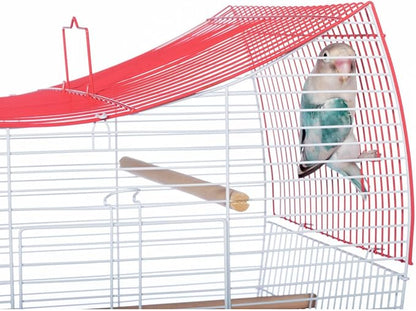 Prevue Pet Products South Beach Wave Top Bird Cage, Lime Green (SP50081)