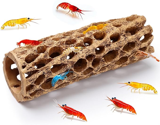 5.9“ Resin Cholla Wood Aquarium Décor Wood- Realistic Shrimp Hideout & Climbing Toy (1-Pack / 2-Pack) (1 PCS)