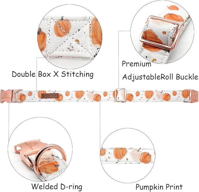 Lionheart glory Dog Collar Halloween Collar Dog Fall Dog Collars, Adjustable Heavy Duty Dog Collar for Medium Dogs Pumpkin Collar Dog