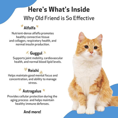 Pet Wellbeing Old Friend for Senior Cats - Supports Immune System Health, Joint Mobility, Healthy Energy Levels, Alfalfa, Reishi - Veterinarian-Formulated Herbal Supplement 2 oz (59 ml)