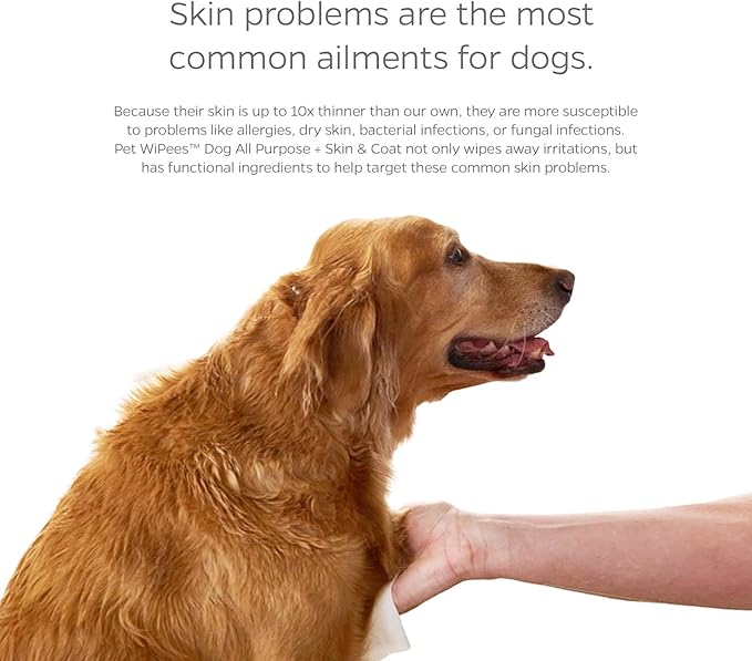 Pet Parents® Pet WiPees Dog All Purpose + Skin & Coat Pet Wipes, Pet Wipes for Dogs, Dog Wipes & Puppy Wipes, Paw Wipes for Dogs (100 Count (Pack of 2), Calming)