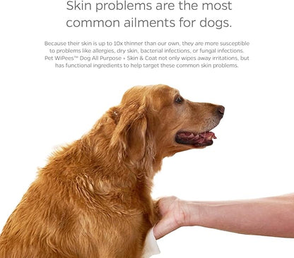 Pet Parents® Pet WiPees Dog All Purpose + Skin & Coat Pet Wipes, Pet Wipes for Dogs, Dog Wipes & Puppy Wipes, Paw Wipes for Dogs (100 Count (Pack of 2), Calming)