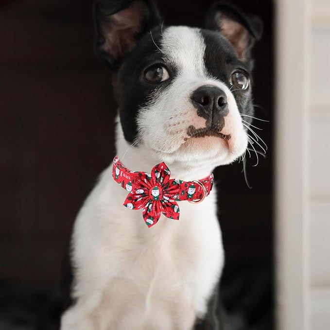 MR. CHUBBYFACE Christmas Santa Dog Collar with Flower, Red and Green Cotton Dog Collars,Adjustable Christmas Dog Collars with Bowtie for Puppy Small Medium Large Dogs