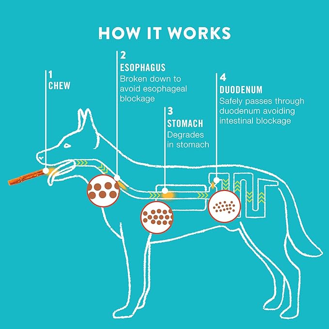 TRURANCH Collagen Rolls - 6" Collagen Rolls for Dogs - Long Lasting Healthy Joint Support - Rawhide Alternative - Skin & Coat Health - Made with Real Chicken, Value Pack, 15 Bags, 60 Count