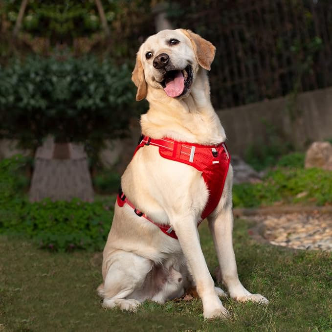 Dog Harness with Soft Handle, Adjustable and Breathable Dog Harness for Large Dogs No Pull, Reflective No Choke Dog Vest Harness, Easy to Put On Take Off(Red, L)