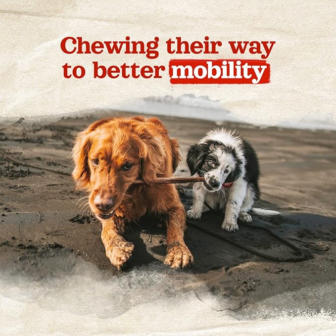 Natural Farm Collagen Dog Chews. 6 Inch, 10 Pack. Odor-Free Long Lasting Bully Sticks & Rawhide Alternative Dog Treats, 95% Collagen Low Fat, High Protein Best Dental Dog Treats  Medium & Large Dogs