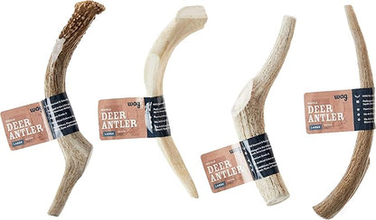 Amazon Brand - Wag Dog Deer Antler Chew, Naturally Shed, Whole, Large 8-9.5 inches (Best for Dogs 30-45 lbs), 3.20 Ounce (Pack of 4)
