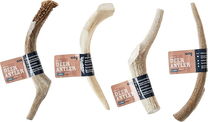 Amazon Brand - Wag Dog Deer Antler Chew, Naturally Shed, Whole, Large 8-9.5 inches (Best for Dogs 30-45 lbs), 3.20 Ounce (Pack of 1)