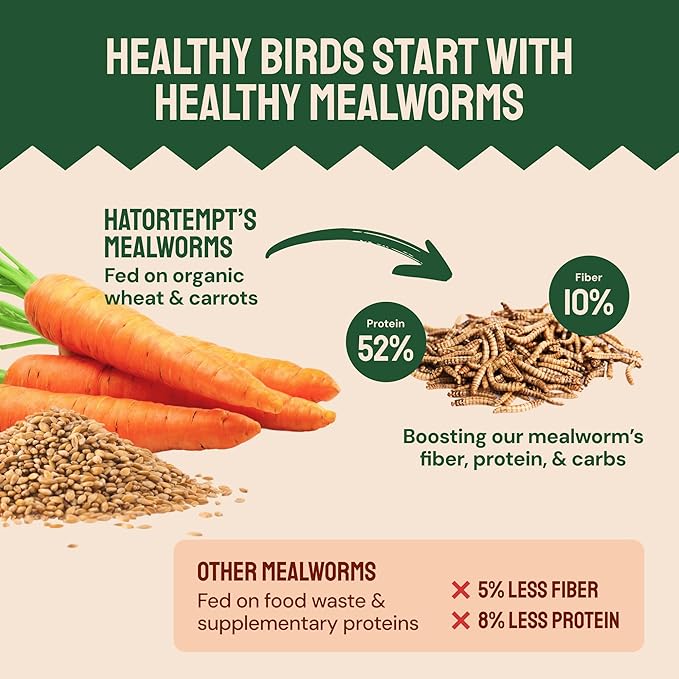 Dried Mealworms - 2 Lb Bag - High Protein Chicken Feed, Mealworms for Birds & Chickens - Meal Worms for Wild Birds & Turtles