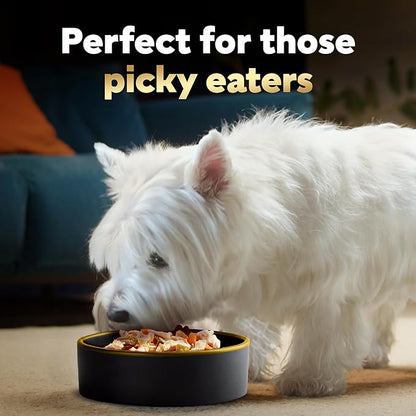 Cesar Wet Dog Food Simply Crafted Multipack: Chicken and Beef Recipe, (40) 1.3 oz. Trays