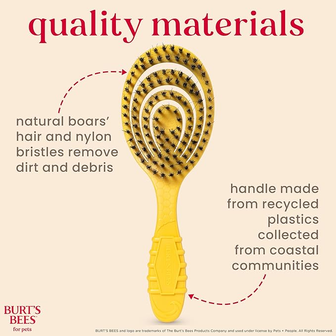 Burt's Bees for Pets Bristle Brush with Natural Boars Hair & Nylon with Handle Made from Recycled Plastics Collected from Coastal Communities | De-Shedding Dog Brush | Eco Friendly Dog Grooming Brush