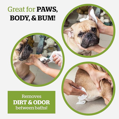 Pogi_ Dog Wipes Travel Packs  Hypoallergenic Pet Wipes for Paws, Body & Butt  Cleaning & Hydrating, Fragrance Free, 240-Count
