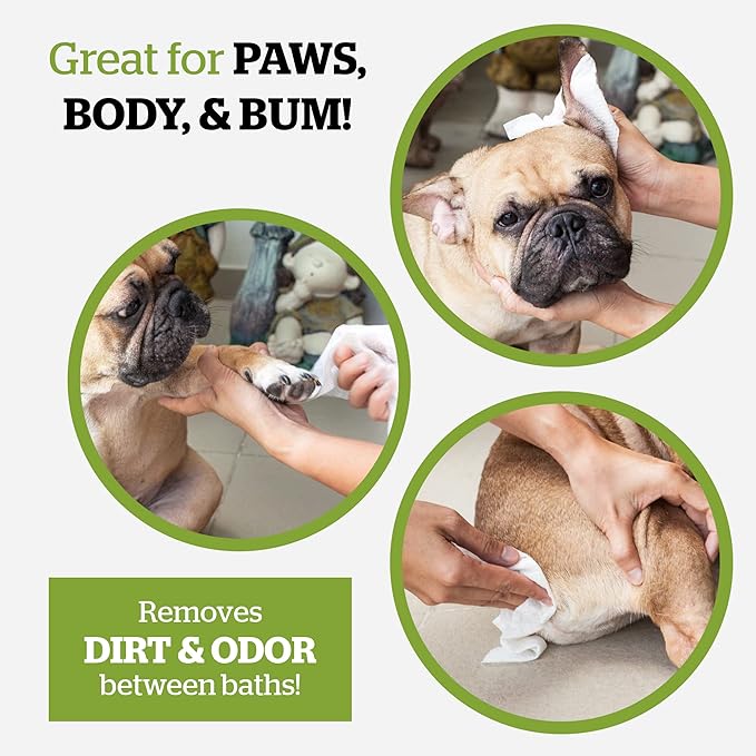 Pogi_ Dog Wipes Travel Packs  Hypoallergenic Pet Wipes for Paws, Body & Butt  Cleaning & Hydrating, Fragrance Free, 120-Count