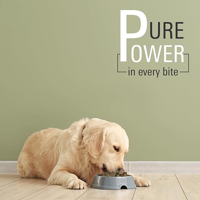 Freeze Dried Beef Tripe Dog Treats  Raw, Single Ingredient, Grain Free, Natural & Organic Treats for Dogs & Cats