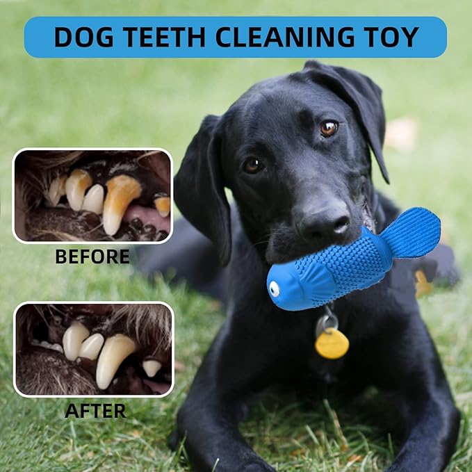 WinTour Dog Chew Toys for Aggressive Chewers, Squeaky Dog Toys, Almost Indestructible Dog Toys for Aggressive Chewers, Durable Tough Dog Toys for Medium Large Breed Dogs with Bacon Flavor