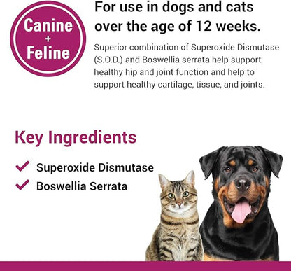 Vet Classics S.O.D. & Boswellia Joint Support Supplement for Dogs, Cats – Dog Hip & Cat Joint Supplement – Alleviates Aches, Discomfort– for Flexibility, Healthy Joint Function - 500 Chewable Tablets
