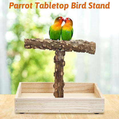 BNOSDM Portable Bird Perch Stand with Potty Tray, Natural Wood Tabletop Training Gym Parrot Playground Toy for Budgies, Cockatiels, Lovebirds,Conures