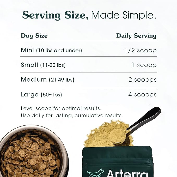 Adult Dog Powder Supplement & Food Topper  46 Ingredients for Gut, Immune & Brain Health  Daily Longevity Multivitamin for Whole Body Wellness | 60 Scoops