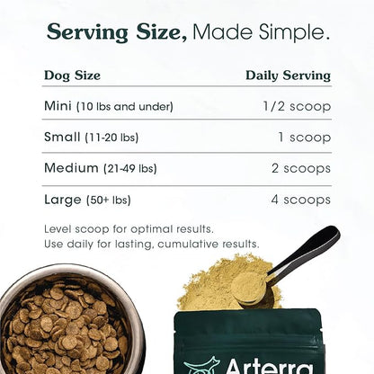 Adult Dog Powder Supplement & Food Topper  46 Ingredients for Gut, Immune & Brain Health  Daily Longevity Multivitamin for Whole Body Wellness | 60 Scoops