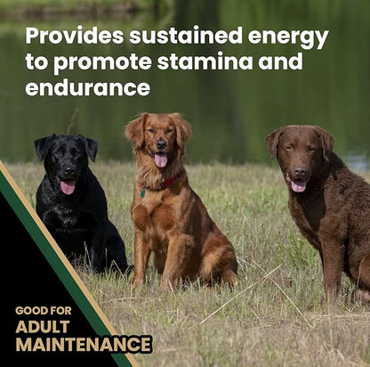 Victor Super Premium Dog Food  Performance Dry Dog Food  26% Protein for Active Adult Dogs  Includes Glucosamine and Chondroitin for Hip and Joint Health, 40lbs