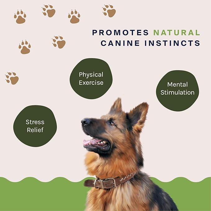 Good Trouble Pets Premium Elk Antlers for Large Dogs - All-Natural, Shed Antler Chews for Dental Health & Calming - Durable Dog Bones for Aggressive Chewers - Cruelty-Free, North American Sourced