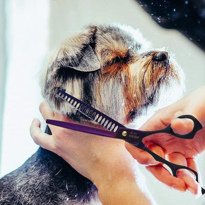 Dream Reach 7.0 inches Professional Decompressed Elastic Handle Pet Grooming Scissors Set,Straight & Chunker & 2 Curved Scissors 4pcs Set for Dog Grooming (Purple) (4PSC Set)