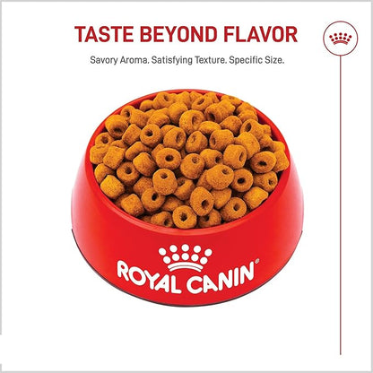 Royal Canin Breed Health Nutrition Labrador Retriever Adult Dry Dog Food, 17 lb Bag