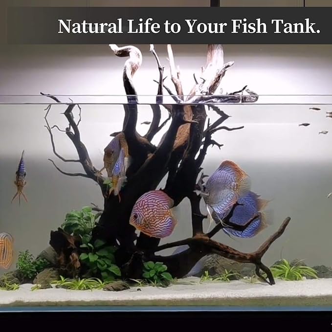 majoywoo Natural Coral Driftwood for Aquarium Decor Fish Tank Decorations, Assorted Driftwood Branch 6-10" 3 Pcs, Reptile Decor