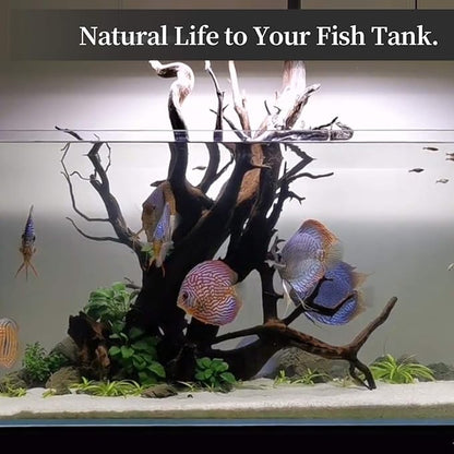 majoywoo Natural Coral Driftwood for Aquarium Decor Fish Tank Decorations, Assorted Driftwood Branch 6-10" 3 Pcs, Reptile Decor