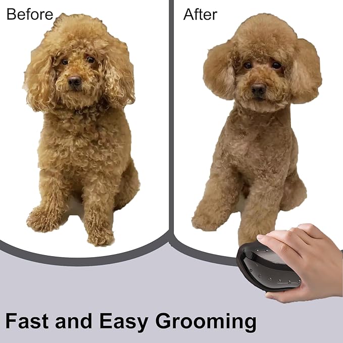 Small Pet Grooming Brush, Soft Dog Brush for Shih Tzu/Yorkie/Maltipoo/Maltese, Puppy Brush, Massaging Hair Brush for Dogs, Cats, Rabbits, All Hair Types (Rose Red)