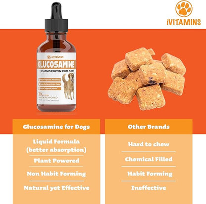 Glucosamine for Dogs | Supports Healthy HIPS, Joints, & More | Glucosamine for Dogs Hip and Joint Supplement | Dog Glucosamine | Dog Joint Supplement | Glucosamine Chondroitin for Dogs | 1 fl oz