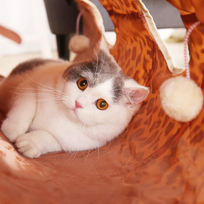 PAWZ Road XL Collapsible Cat Tunnel for Fat Cats & Rabbits - 51"x12" Extra Wide Pet Play Tunnel with 12-Inch Diameter for Large Cats, Small Dogs