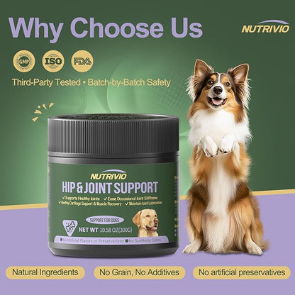 Hip and Joint Supplement for Dogs Chews with Glucosamine Chondroitin for Dog, Turmeric, Omega-3 and Collagen Chews for Dogs – Joint Pain Relief – Large & Small Breed - 300g
