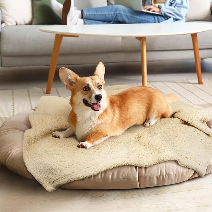 furrybaby Dog Blanket Soft Dog Blankets for Large Dogs Puppy Essentials Washable Sherpa Fleece Cat Blanket 32x40 Inches for Bed Furniture Couch Sofa (Medium, Beige)